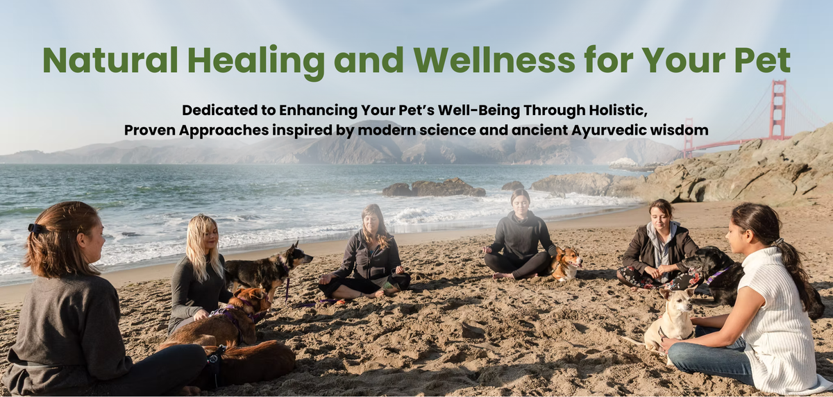Ayurveda For Pets, holistic pet wellness